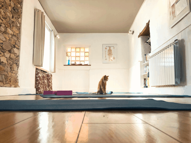 6 Quiet Ways How to Work Out in an Upstairs Apartment