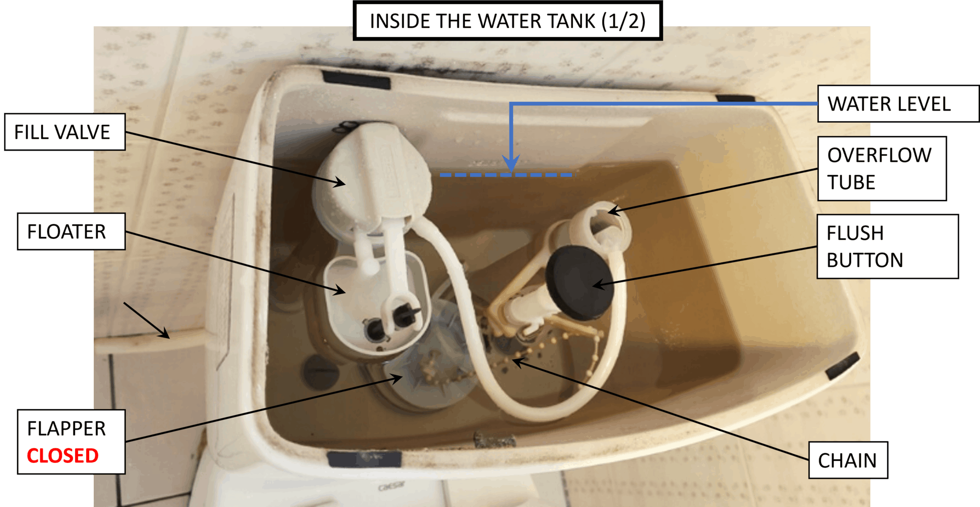 Top 5 Quiet Flush Toilets Flush Unnoticed with the Quietest System