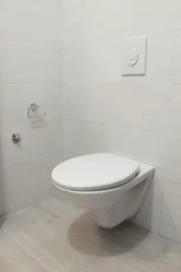 Wall mounted toilet